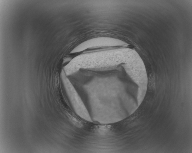 X0000080200474200701051753