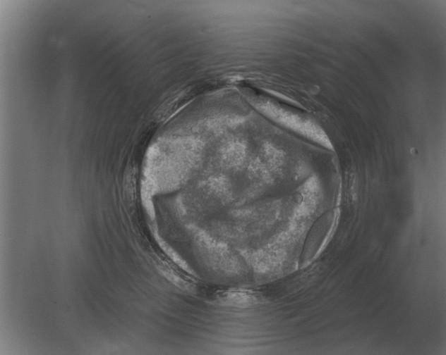 X0000080200475200701051753