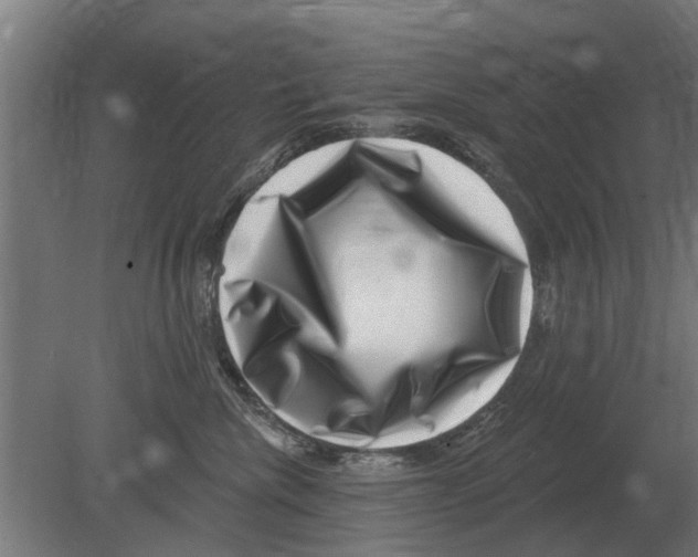 X0000080200476200701051753