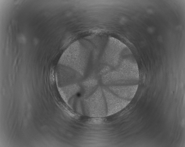 X0000080200479200701051753