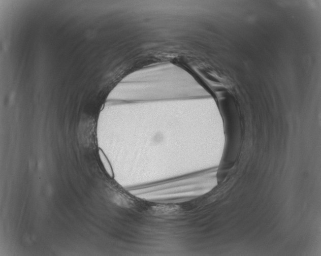 X0000080200480200701051753