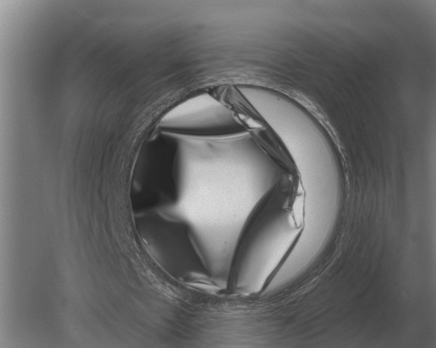 X0000080200481200701051753