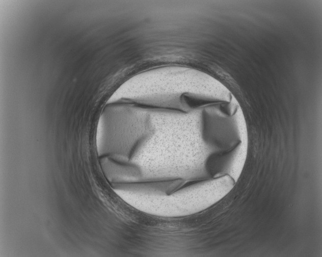 X0000080200482200701051753