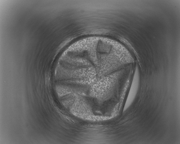 X0000080200483200701051753