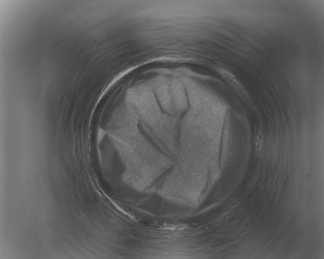 X0000080200484200701051753