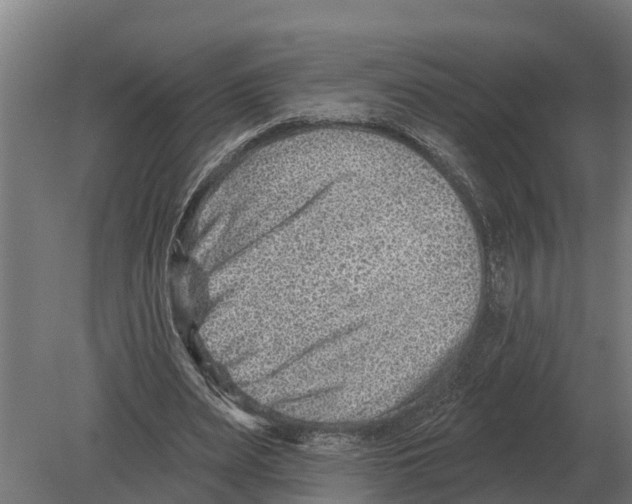 X0000080200487200701051752