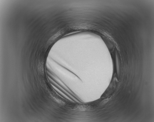 X0000080200489200701051752