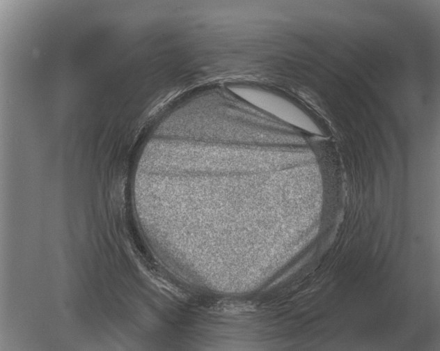 X0000080200491200701051752