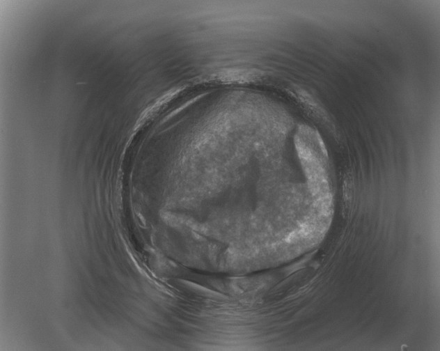 X0000080200492200701051752