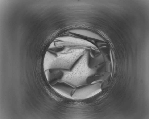 X0000080200493200701051752