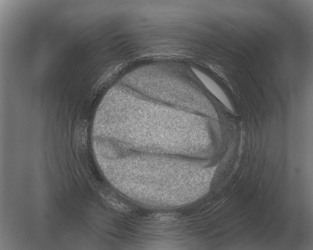 X0000080200495200701051752