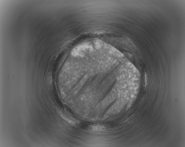 X0000080200500200701051752