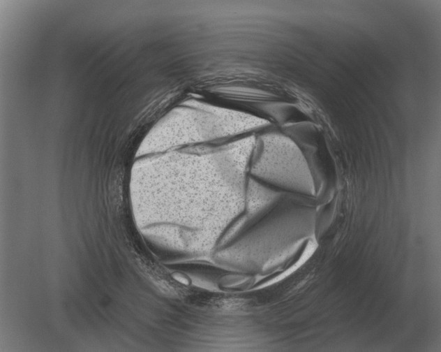 X0000080200501200701051752