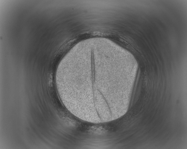 X0000080200502200701051752