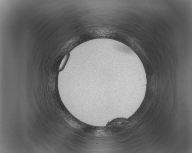 X0000080200505200701051752