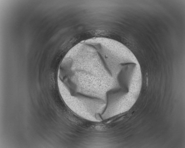 X0000080200506200701051752