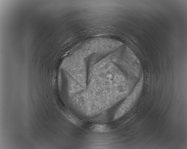 X0000080200507200701051752