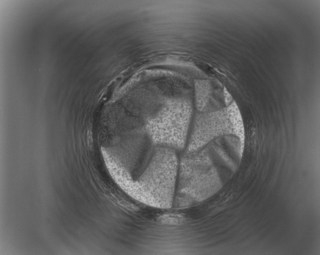 X0000080200508200701051752