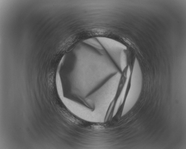 X0000080200509200701051752