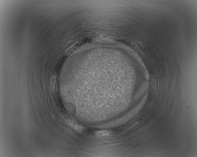 X0000080200511200701051752