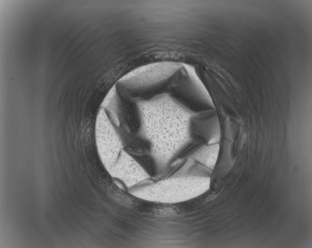 X0000080200513200701051752