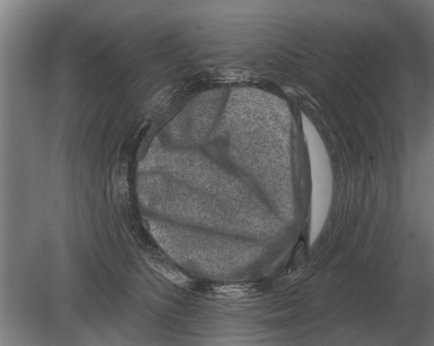 X0000080200516200701051752