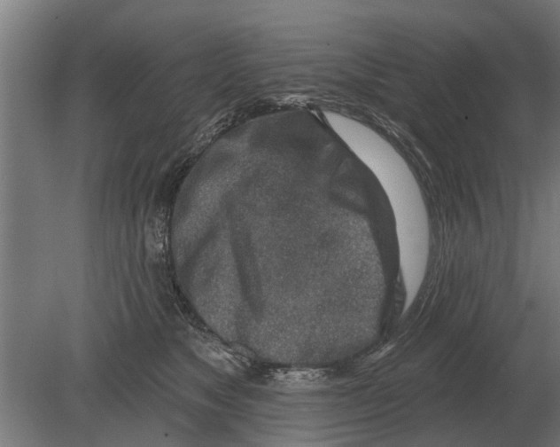 X0000080200517200701051752