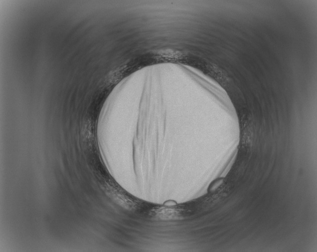 X0000080200518200701051752