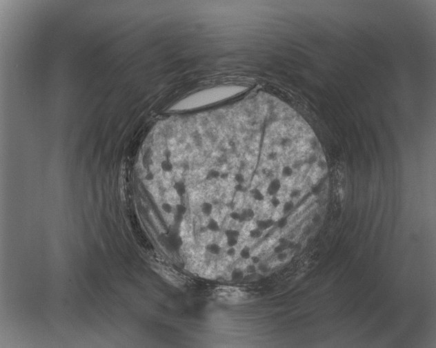 X0000080200519200701051752