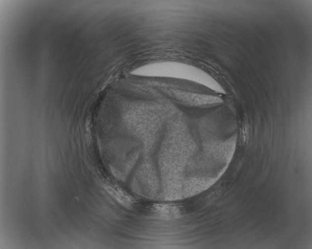 X0000080200520200701051752