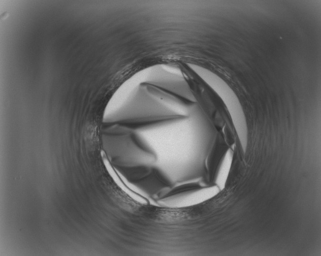 X0000080200521200701051752