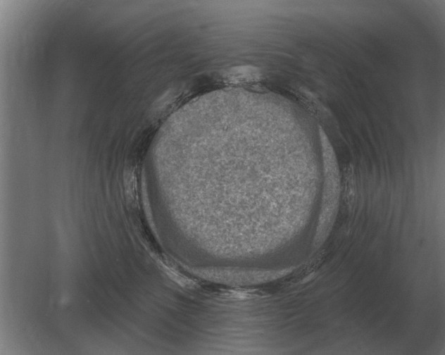 X0000080200523200701051752