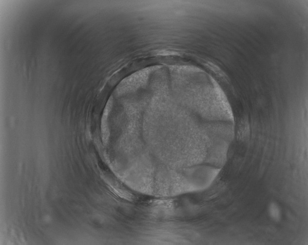 X0000080200524200701051752