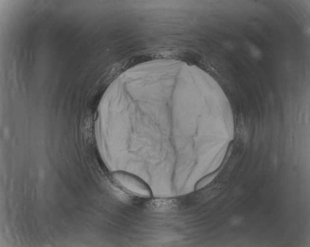 X0000080200526200701051752