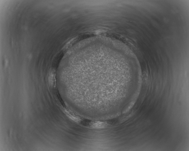 X0000080200527200701051752