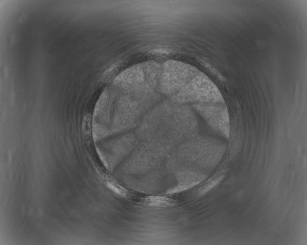 X0000080200528200701051752