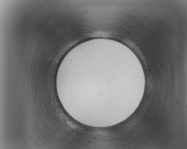 X0000080200529200701051751