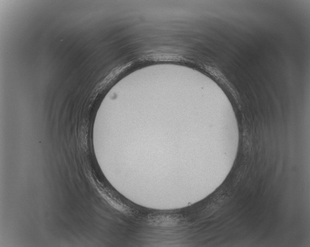 X0000080200533200701051751