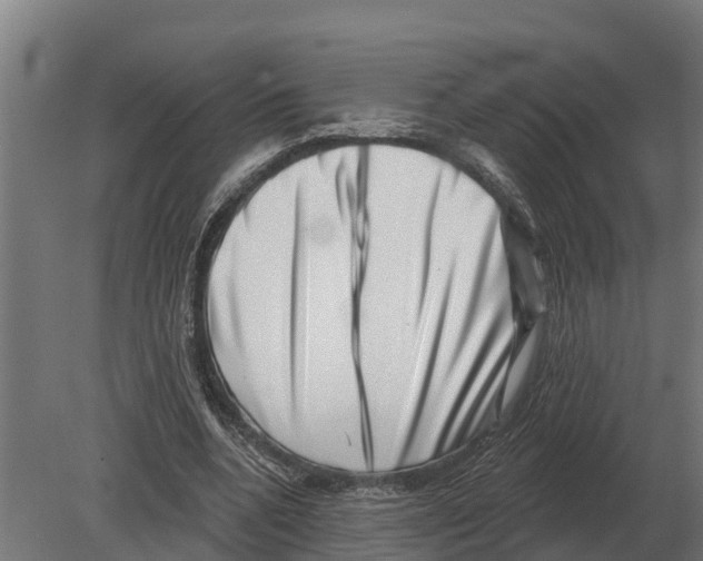 X0000080200536200701051751