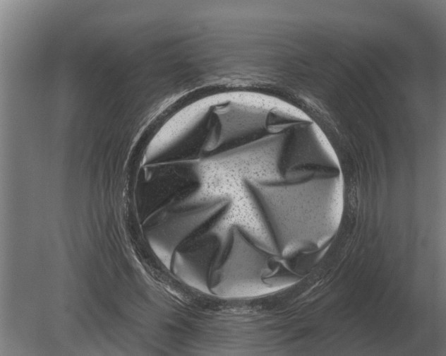 X0000080200540200701051751