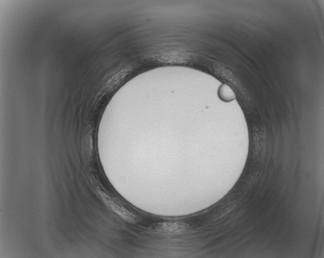 X0000080200541200701051751