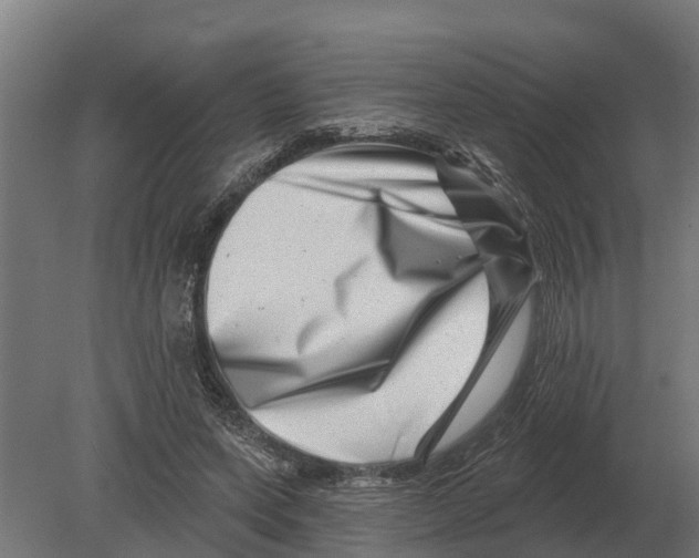 X0000080200543200701051751