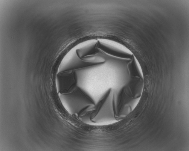 X0000080200544200701051751