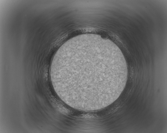 X0000080200545200701051751