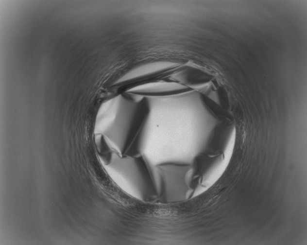 X0000080200546200701051751