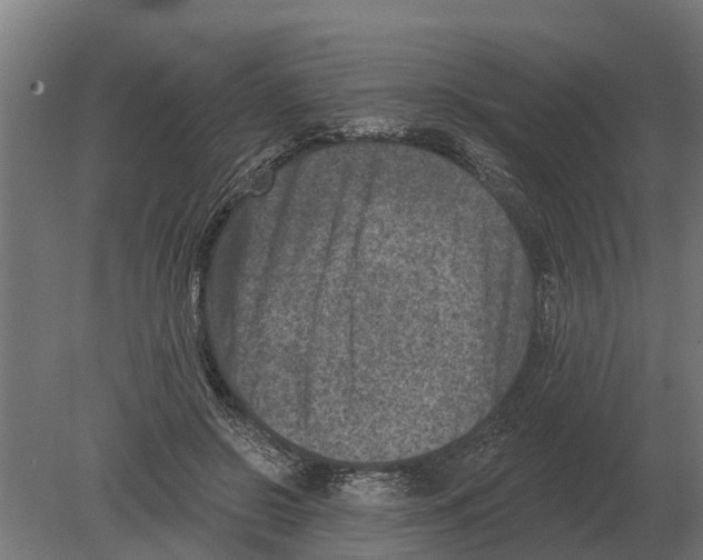 X0000080200550200701051751