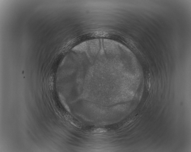 X0000080200551200701051751