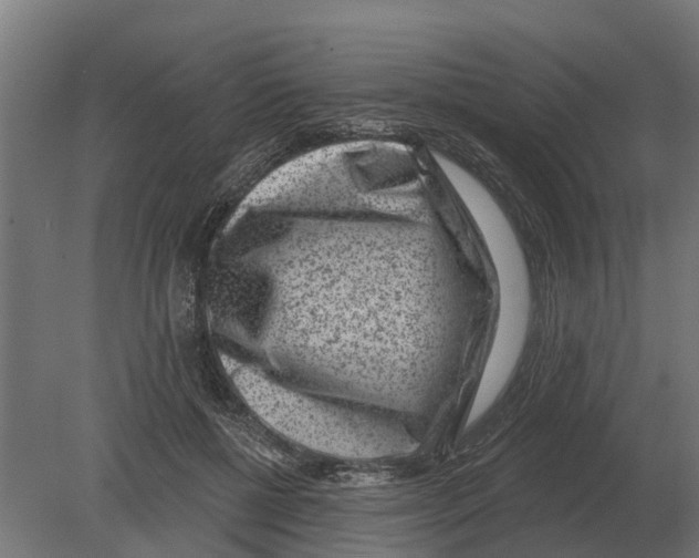 X0000080200552200701051751