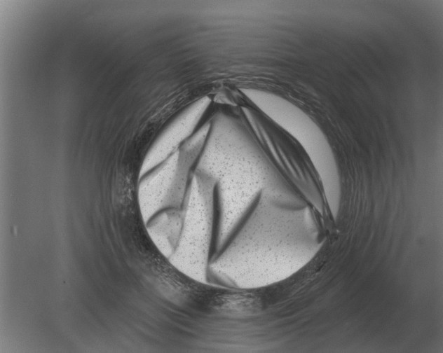 X0000080200555200701051751