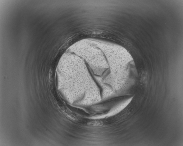 X0000080200559200701051751